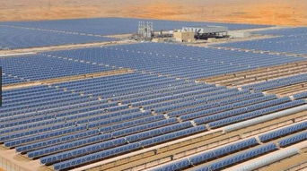 阿联酋将建全球最大太阳能光伏发电厂